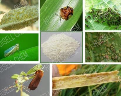 Landwirtschaftliche Insektenvertilgungsmittel Cas No Thiamethoxam-Körnchen-3% GR 153719-23-4