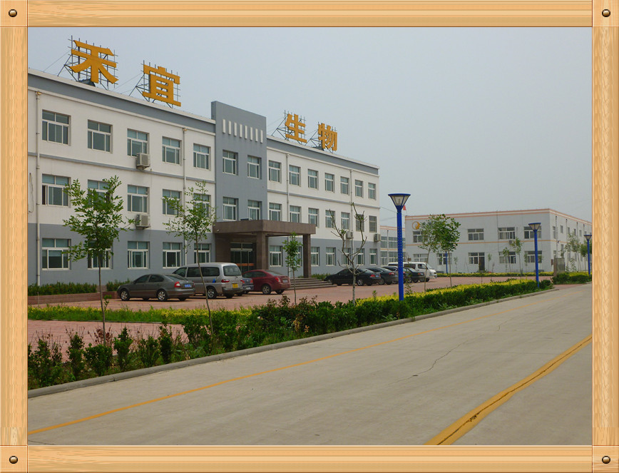 China Weifang Heyi Agrochemical Co.,Ltd Unternehmensprofil